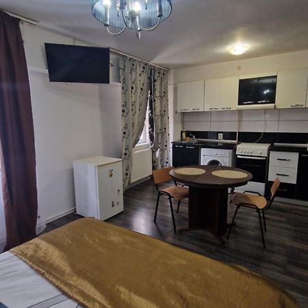 Galaţi Apartament Vintage מראה חיצוני תמונה